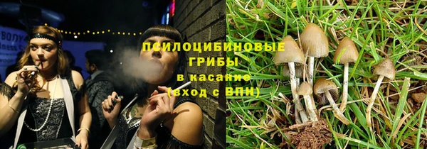 прущие крисы Белокуриха