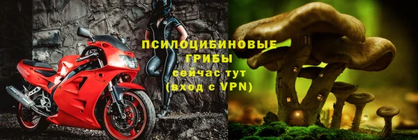 дурь Богородицк