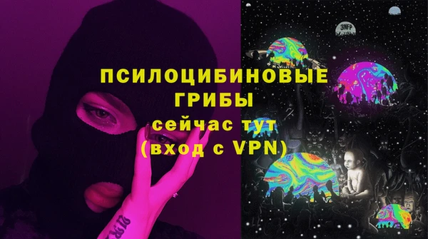 метадон Богданович